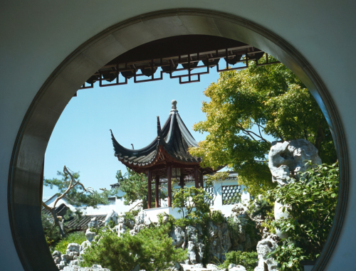 Vancouver has a huge Asian community. Sun Yat Sen garden is one of their favorites.