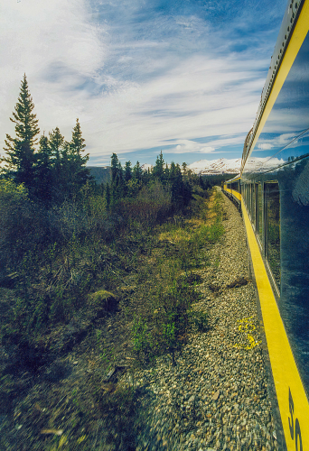 On a train ride from Fairbanks to Anchorage, Alaska