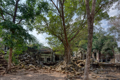 Beng Mealea ist eine der vielen Tempelanlagen um Angkor Wat