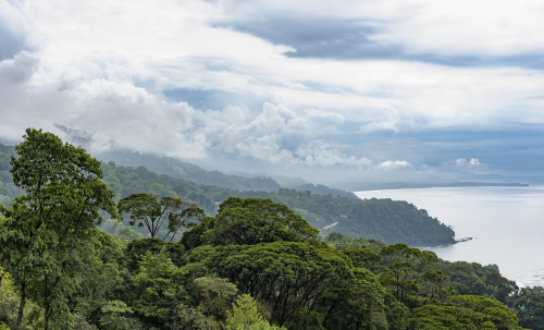 Grün, üppig und wunderschön: Costa Rica's Küste sieht fast überall so aus