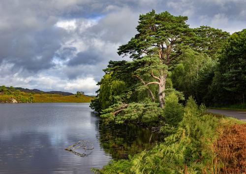 A tranquil lake in Scotland's highlands region