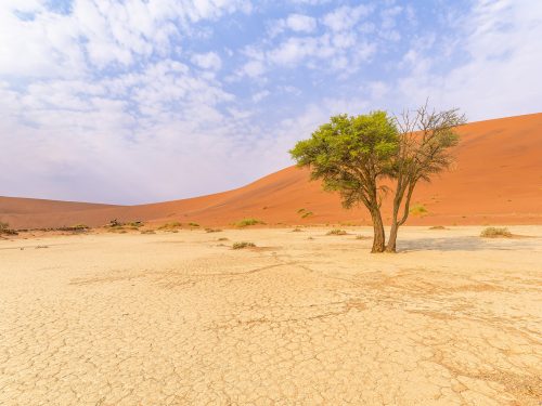 Sossusvlei National Park