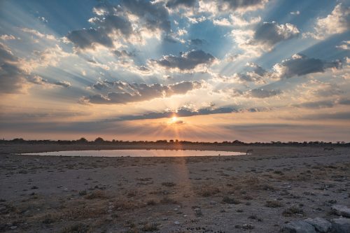Sonnenaufgang an Wasserloch im Etosha-Nationalpark